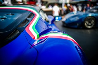 Paddock
