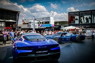 Paddock
