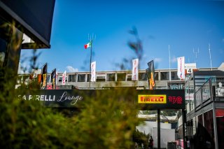 Paddock
