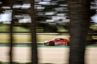 #12 Tresor by Car Collection Audi R8 LMS evo II GT3 Mattia Drudi Lorenzo Patrese Pro, Free Practice
