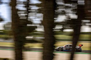 #56 Dinamic Motorsport Porsche 911 GT3-R (991.II) Giorgio Roda Klaus Bachler Pro, Free Practice
