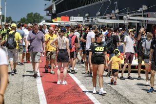 Pitwalk
