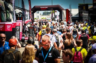 Paddock
