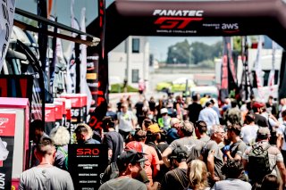 Paddock
