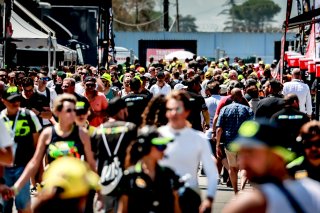 Paddock

