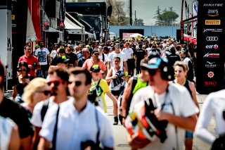 Paddock
