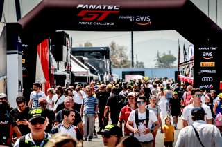 Paddock
