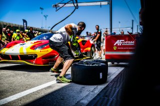 Ambiance, Pit Walk
