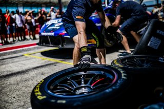 Ambiance, Pit Walk
