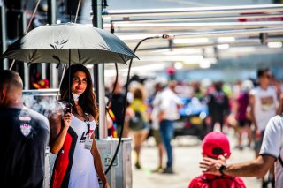 Ambiance, Pit Walk
