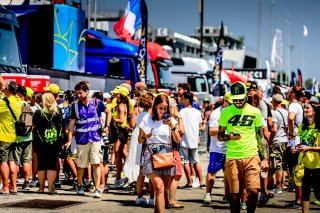 Paddock
