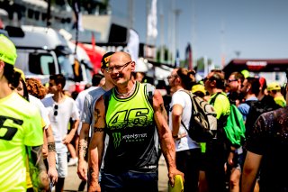 Paddock
