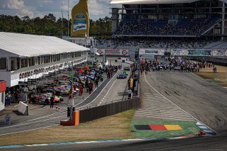 Race
