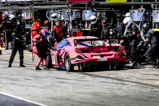 Pitlane, Race
