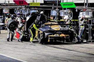 Pitlane, Race
