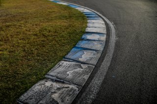 Track Walk
