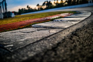 Track Walk
