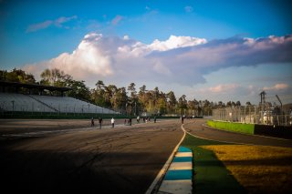 Track Walk
