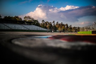 Track Walk
