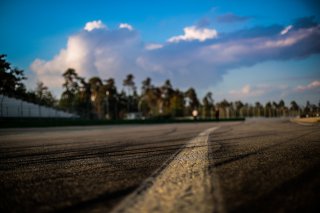 Track Walk
