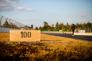 Track Walk
