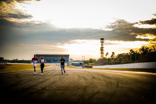 Track Walk
