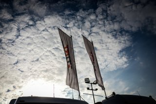 Paddock
