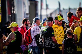 Ambiance, Paddock
