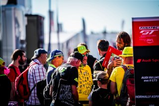 Ambiance, Paddock
