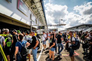 Ambiance, Pitwalk
