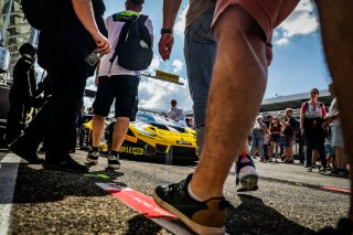 Ambiance, Pitwalk

