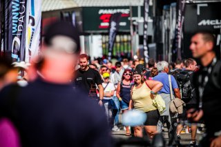 Ambiance, Paddock, Pitwalk
