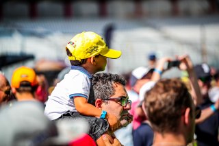 Ambiance, Pitwalk
