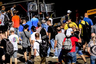 Pitwalk
