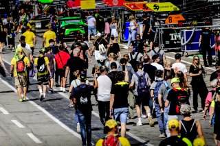 Pitwalk
