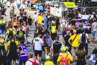 Pitwalk
