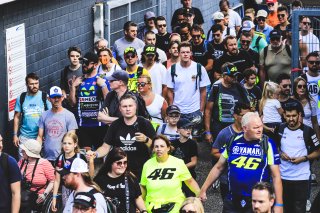 Pitwalk
