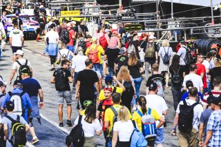 Pitwalk
