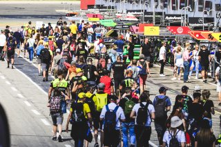 Pitwalk
