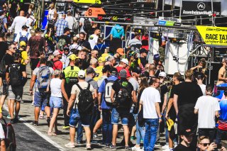 Pitwalk
