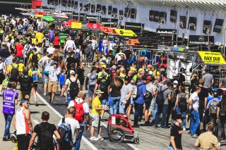 Pitwalk
