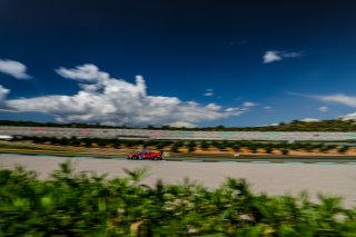 #52 AF Corse - Louis Machiels - Andrea Bertolini - Ferrari 488 GT3 - Pro-Am Cup, FGTWC, Pre-Qualifying

