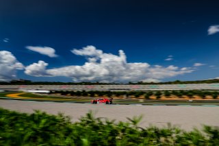 #11 Tresor by Car Collection - Simon Gachet - Christopher Haase - Audi R8 LMS evo II GT3 - Pro, FGTWC, Pre-Qualifying
