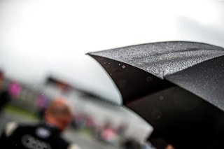 Grid Walk, Race 2
