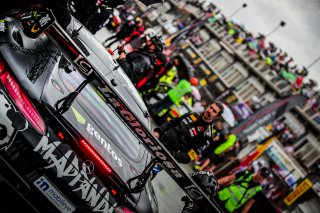 #90 Madpanda Motorsport - Ezequiel Perez Companc - Fabian Schiller - Mercedes-AMG GT3 - Silver Cup, FGTWC, Grid Walk, Race 2
