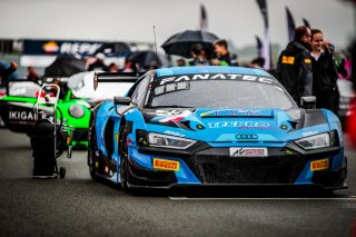 #25 Sainteloc Junior Team - Aurelien Panis - Patric Niederhauser - Audi R8 LMS evo II GT3 - Pro, FGTWC, Grid Walk, Race 2
