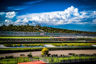 Paddock
