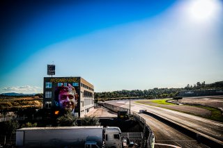 Paddock
