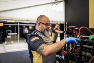 Paddock
