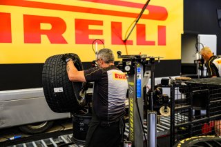 Paddock
